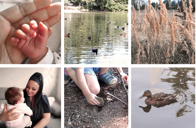 Mental Load Collage mit Naturbildern