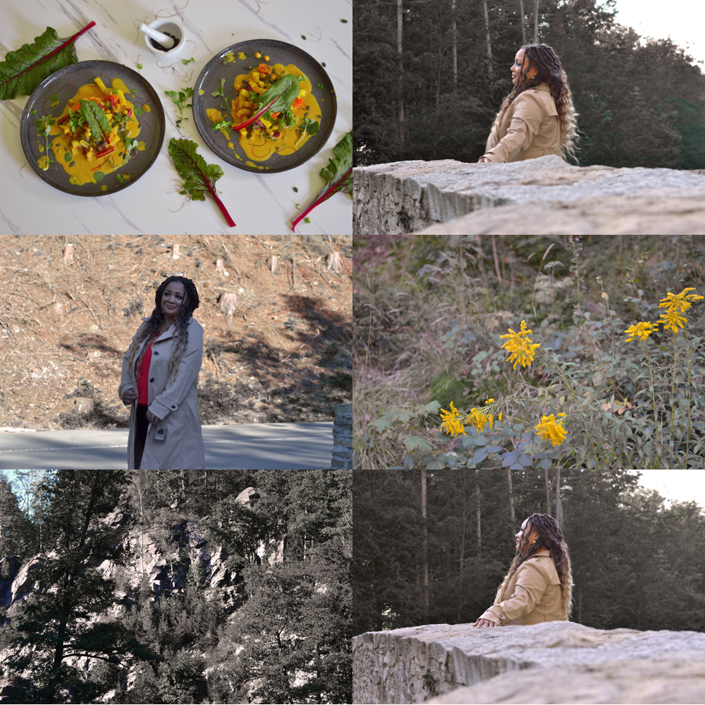 Collage Herbst Kartoffel Mangold Curry